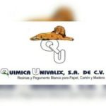 QUIMICA UNIVALIX